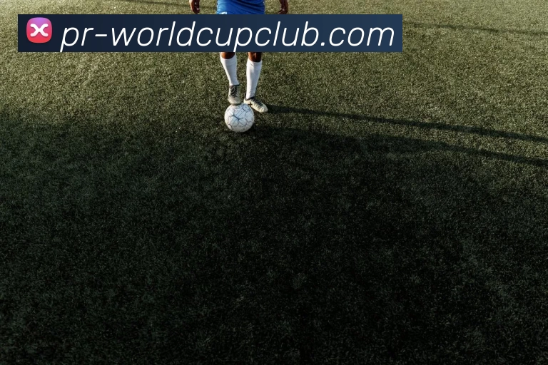 世界杯WorldCup平台服务体系